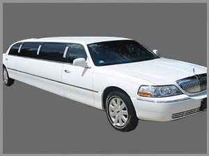 10 Passenger White